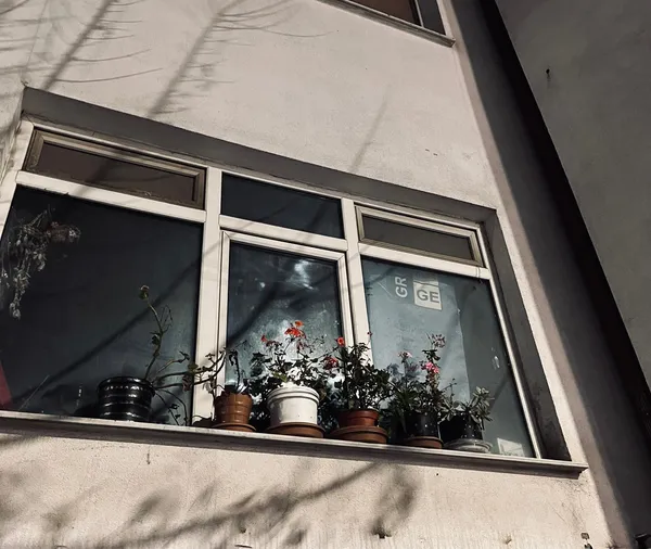 img of Saksıların Ardından